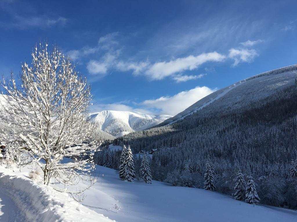 Alpsky Hotel Špindlerŭv Mlýn Екстериор снимка